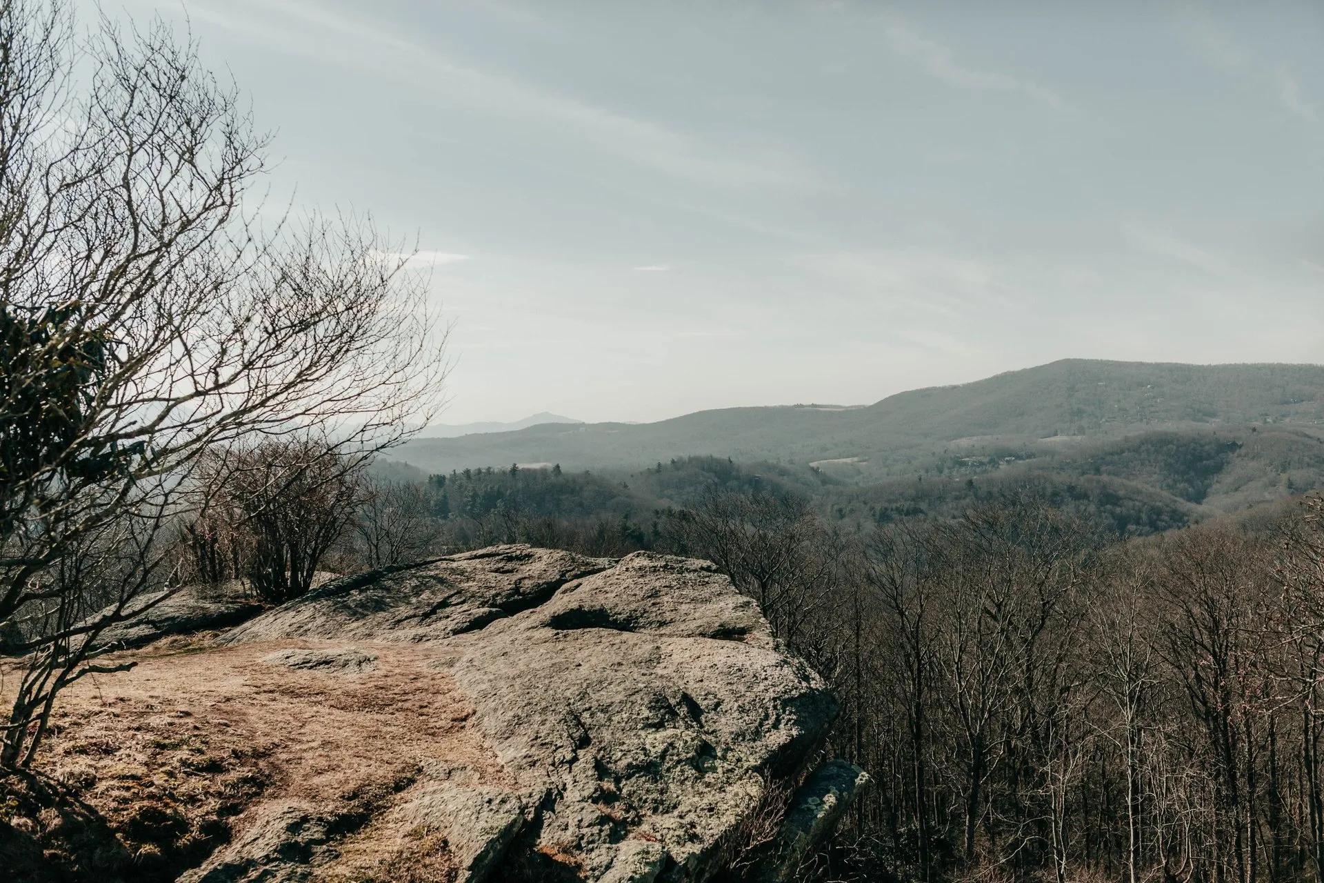 Expansive view of Asheville's mountains and forest