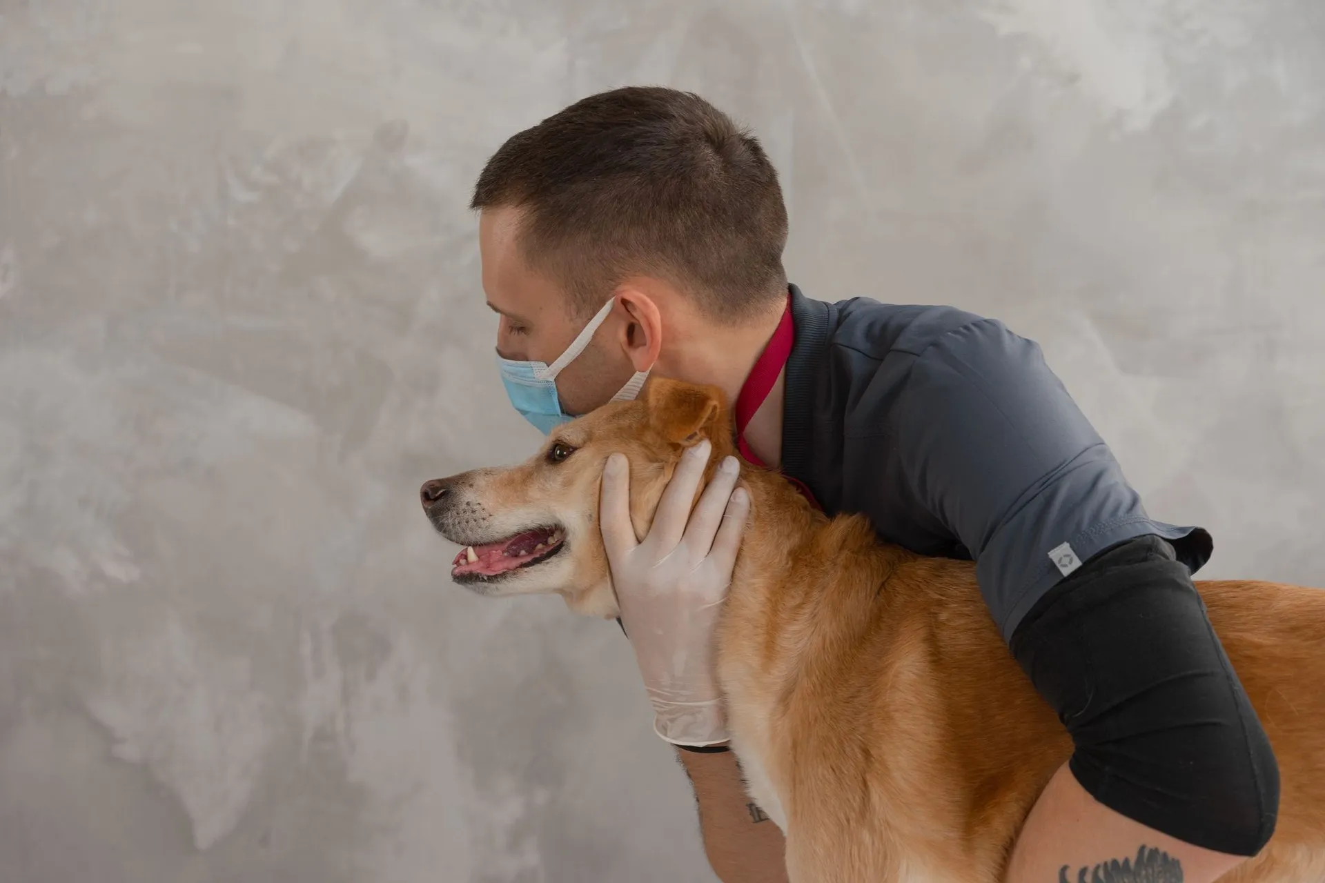 A caring veterinarian embraces a happy dog