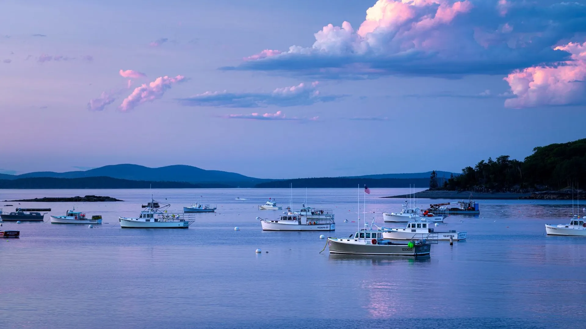 Frenchman bay in bar harbor maine