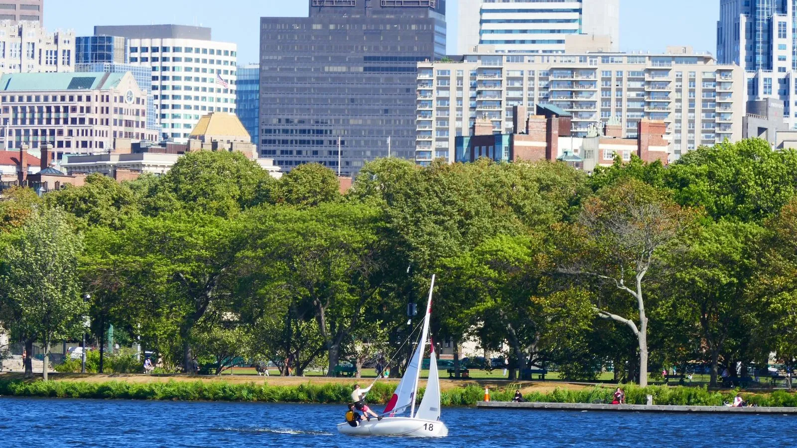 Charles river and boston skyline