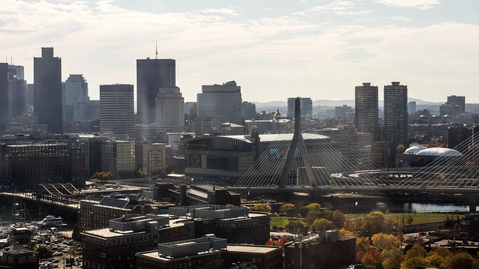 Zakim bridge and the boston skyline