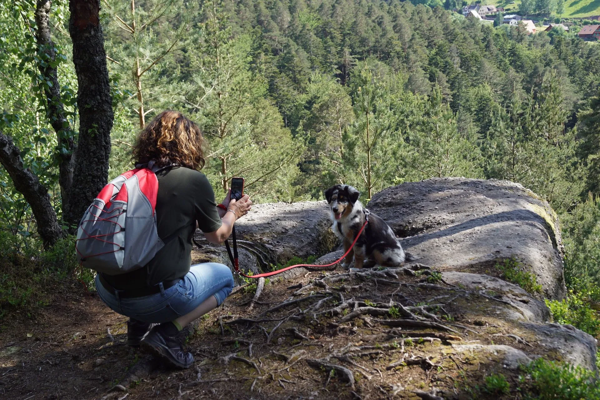 A woman takes a photo of her Australian Shepherd on a hiking trail