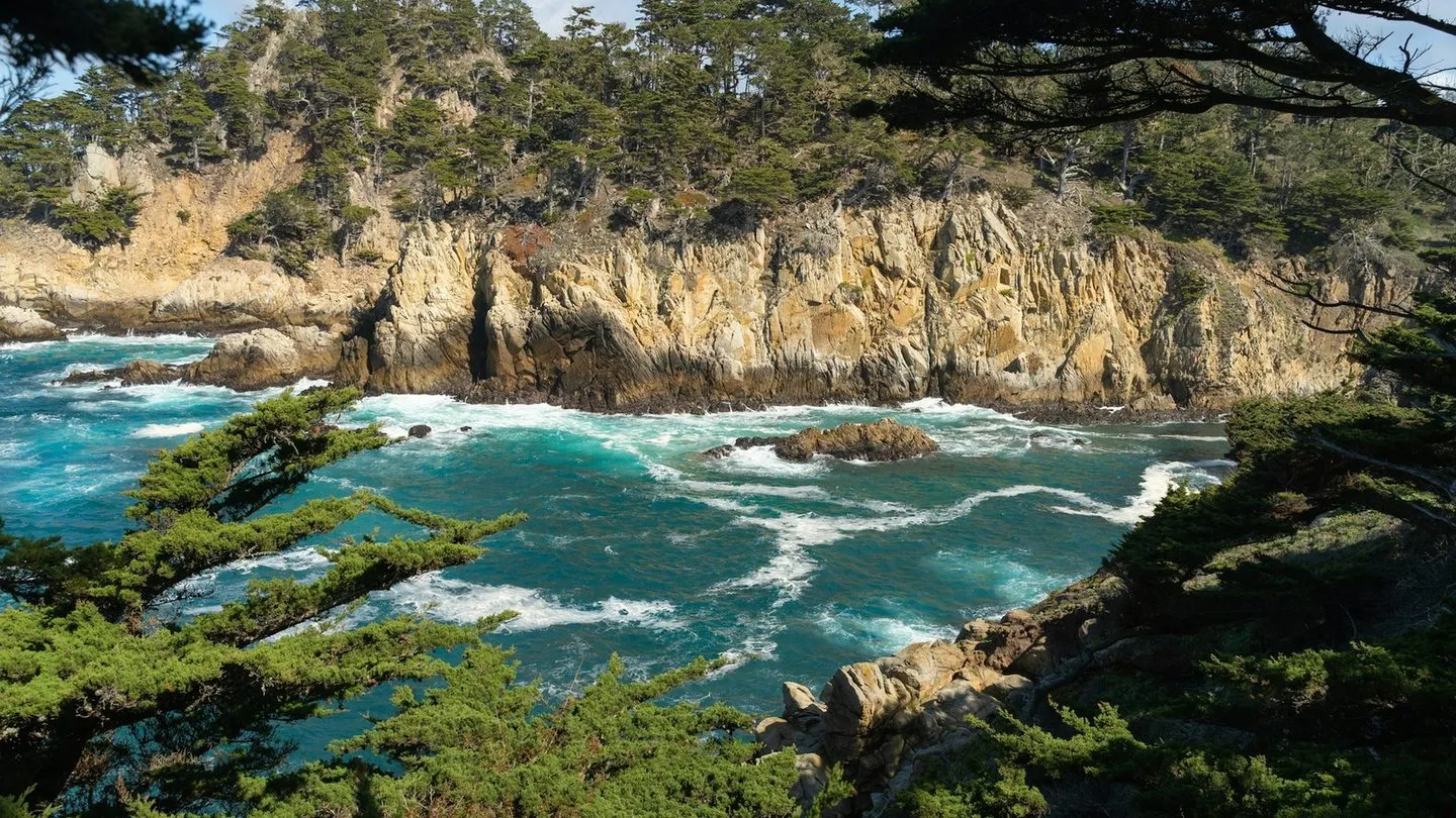 Point lobos near carmel by the sea california