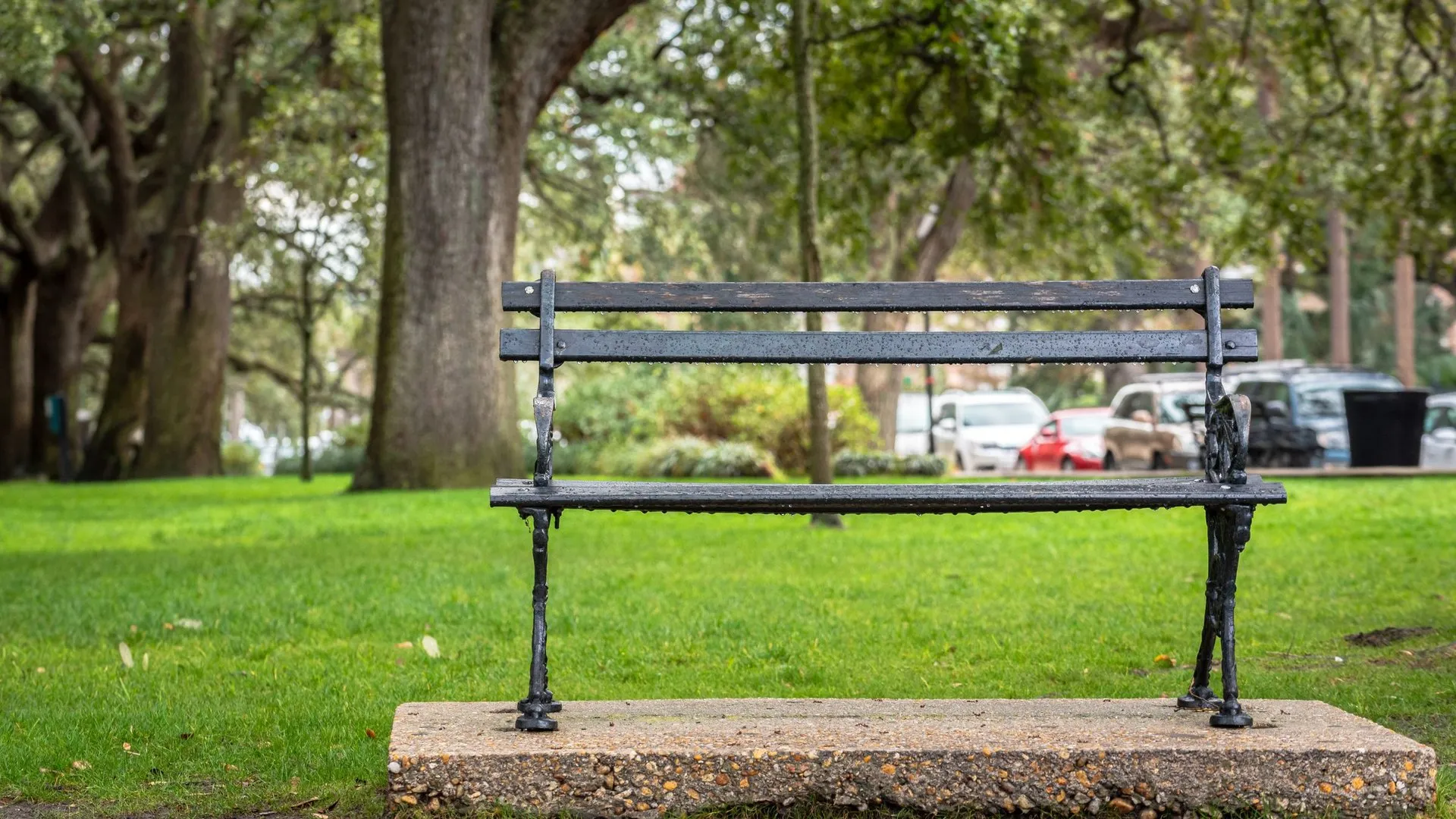 Park bench surrounded by lush greenery in Charleston, South Carolina