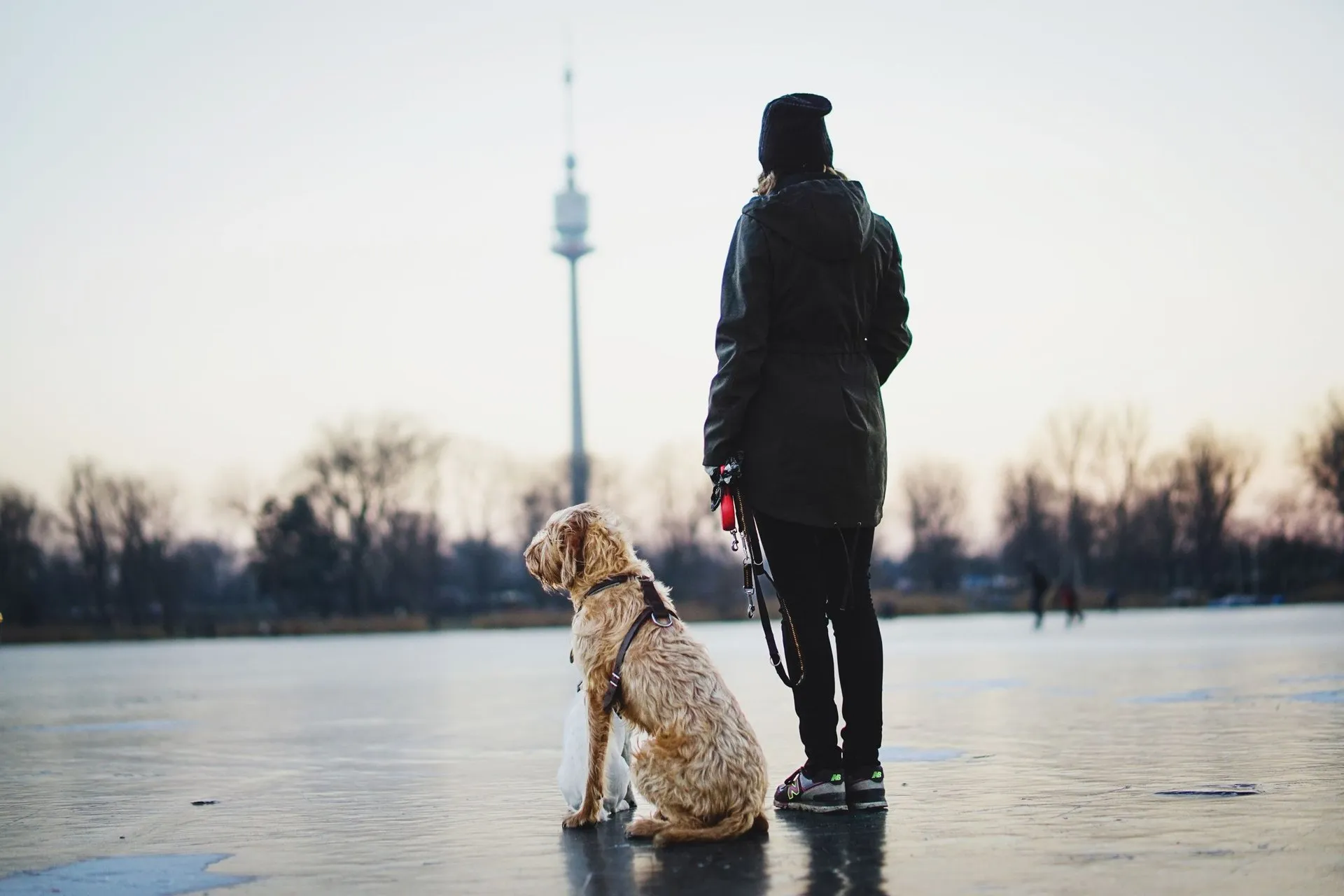 A woman holding a dog leash, standing on ice in a city park with a dog