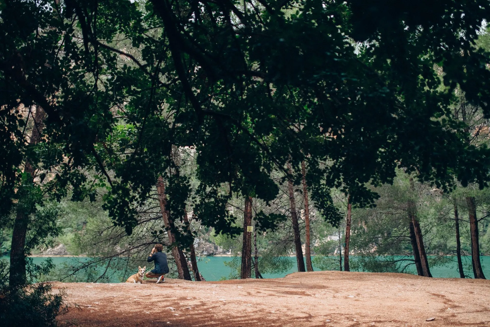 A man sits with his dog in a peaceful forest park by a clear blue lake