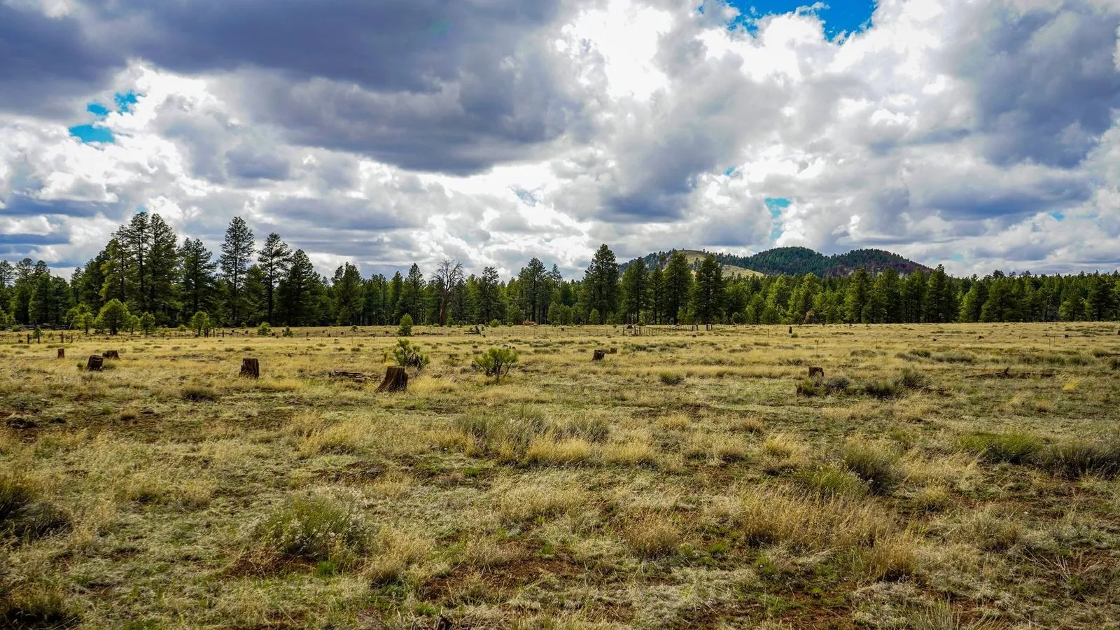 Downtown flagstaff arizona