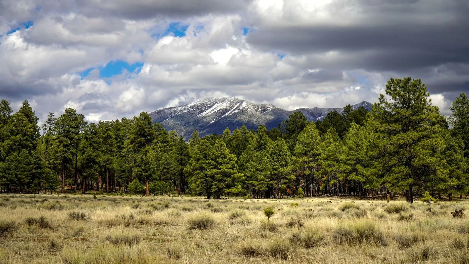 Flagstaff