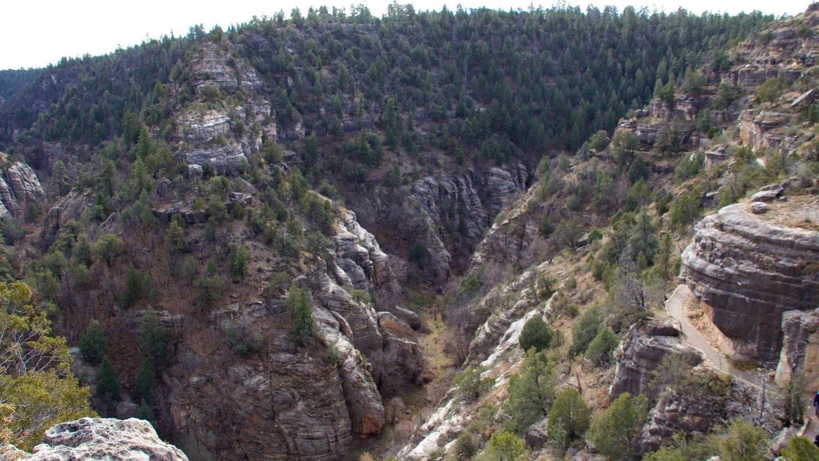 Walnut canyon near flagstaff arizona