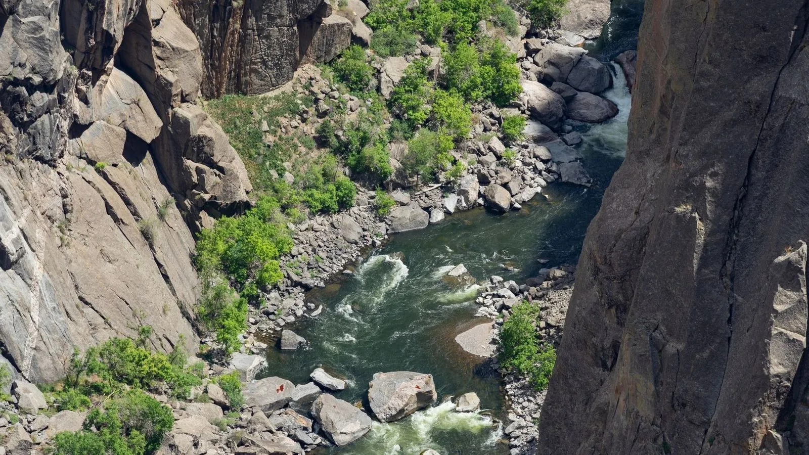 Cache la poudre river near fort collins