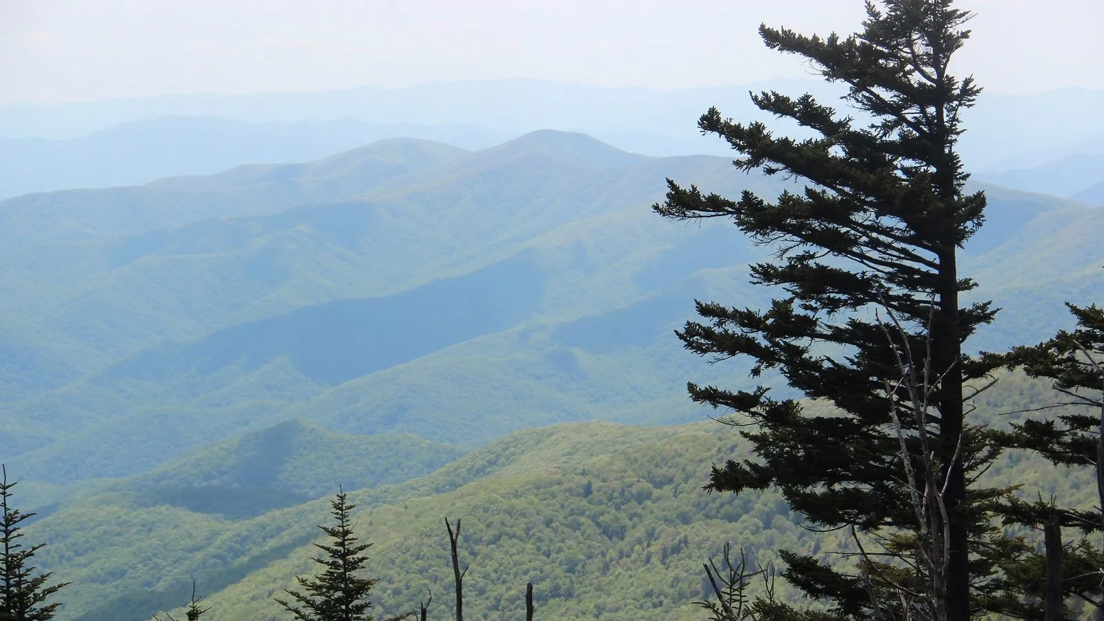 View from clingmans dome near gatlinburg tennessee