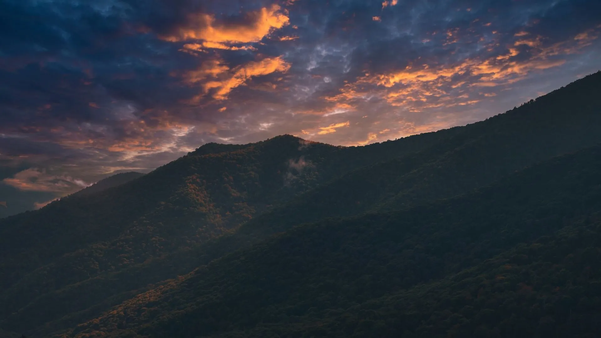 View from newfound gap near gatlinburg tennessee