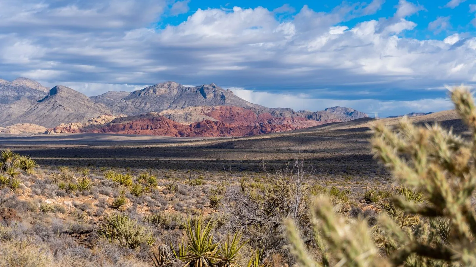 Red rock canyon near las vegas nevada