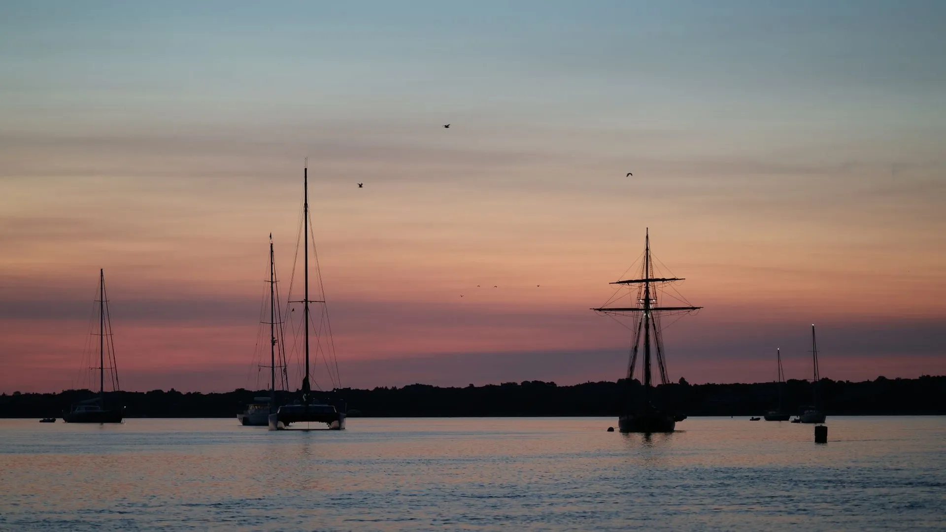 Vineyard haven harbor on marthas vineyard