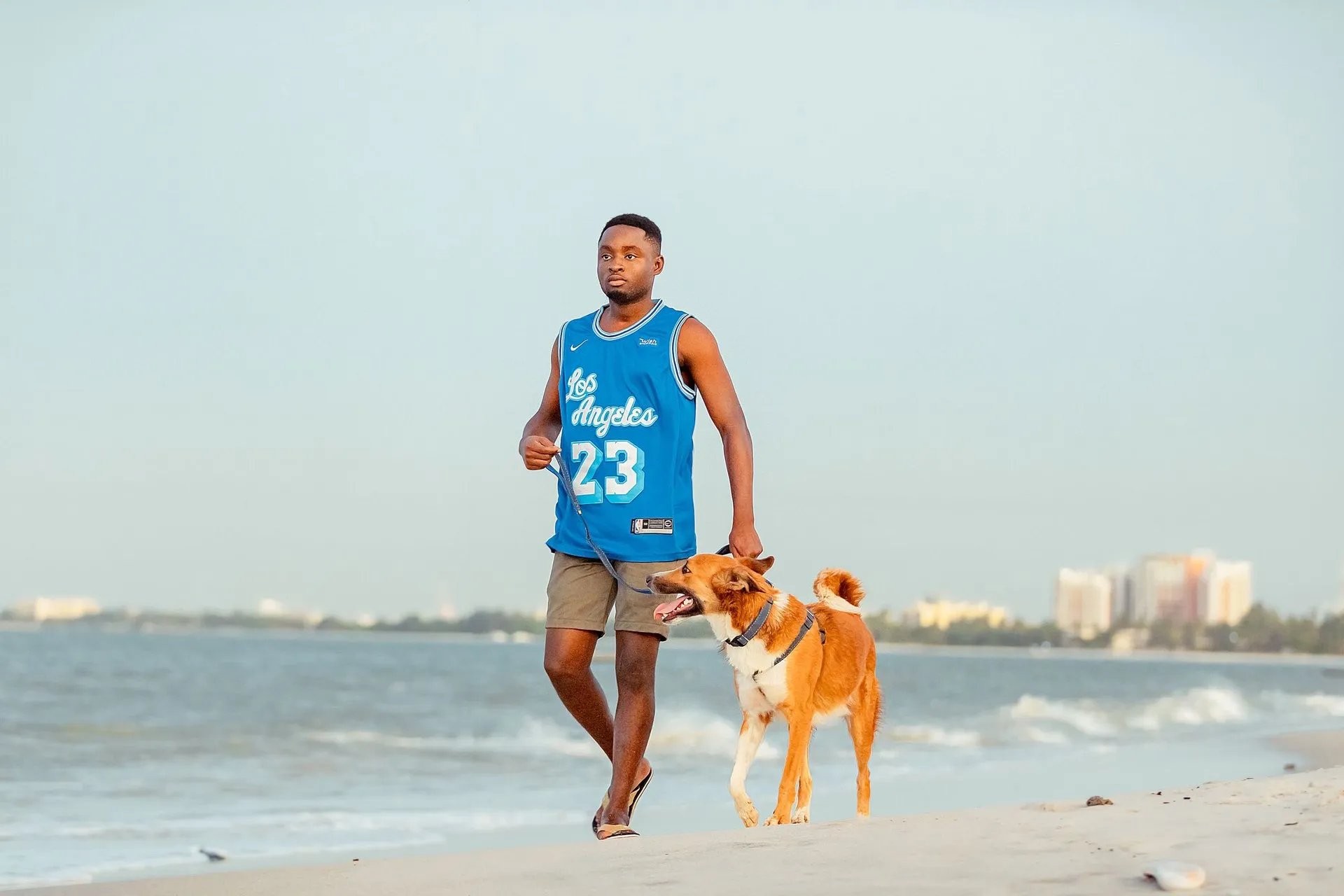 A man in a jersey walks with his dog along a sunny beach shoreline