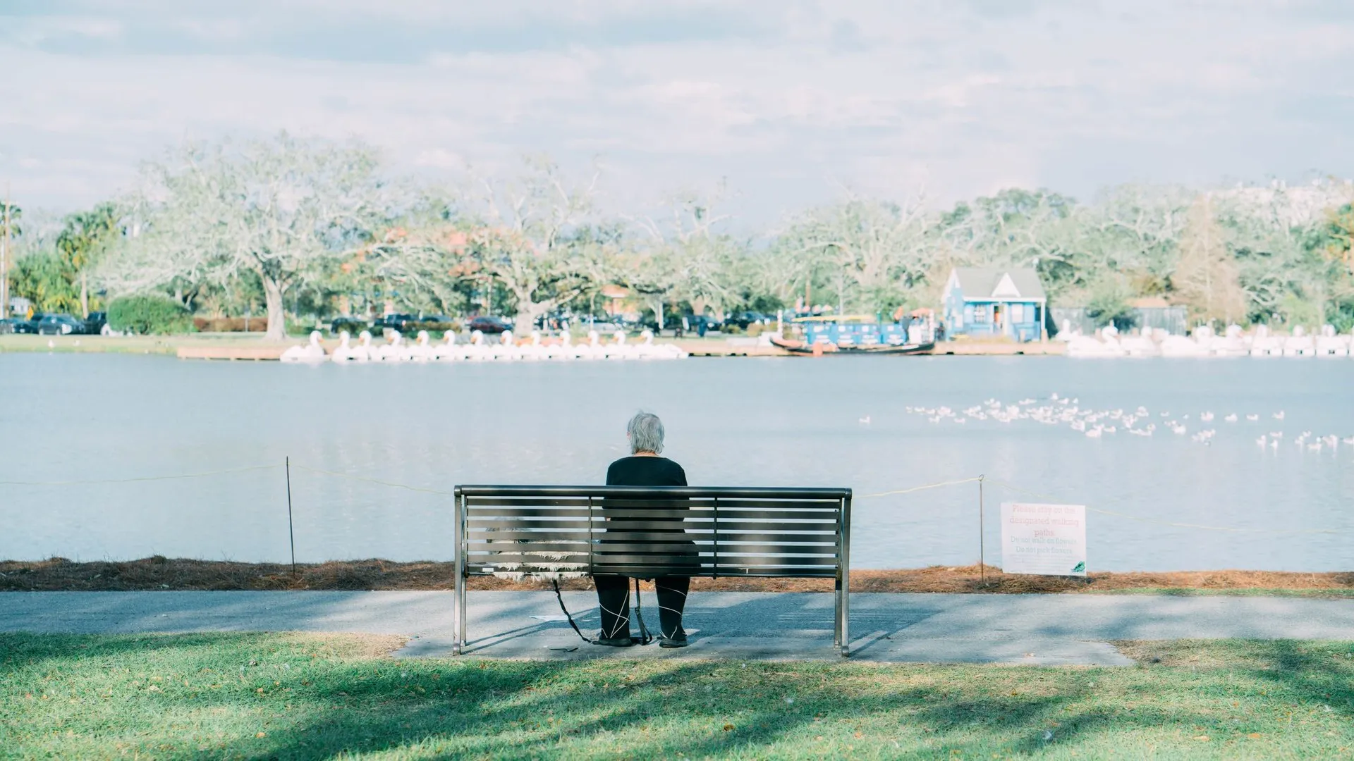 Scene of a senior woman sitting alone on a bench by a lake in New Orleans
