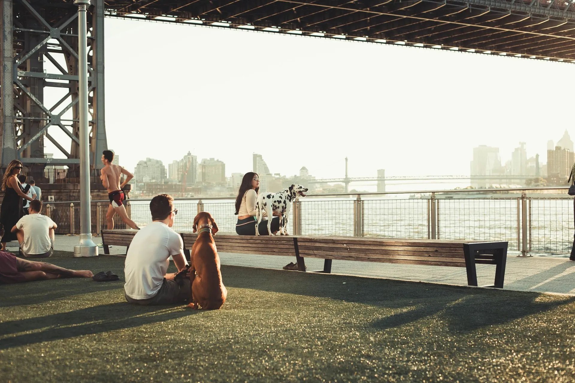 People relaxing with dogs under the Brooklyn Bridge