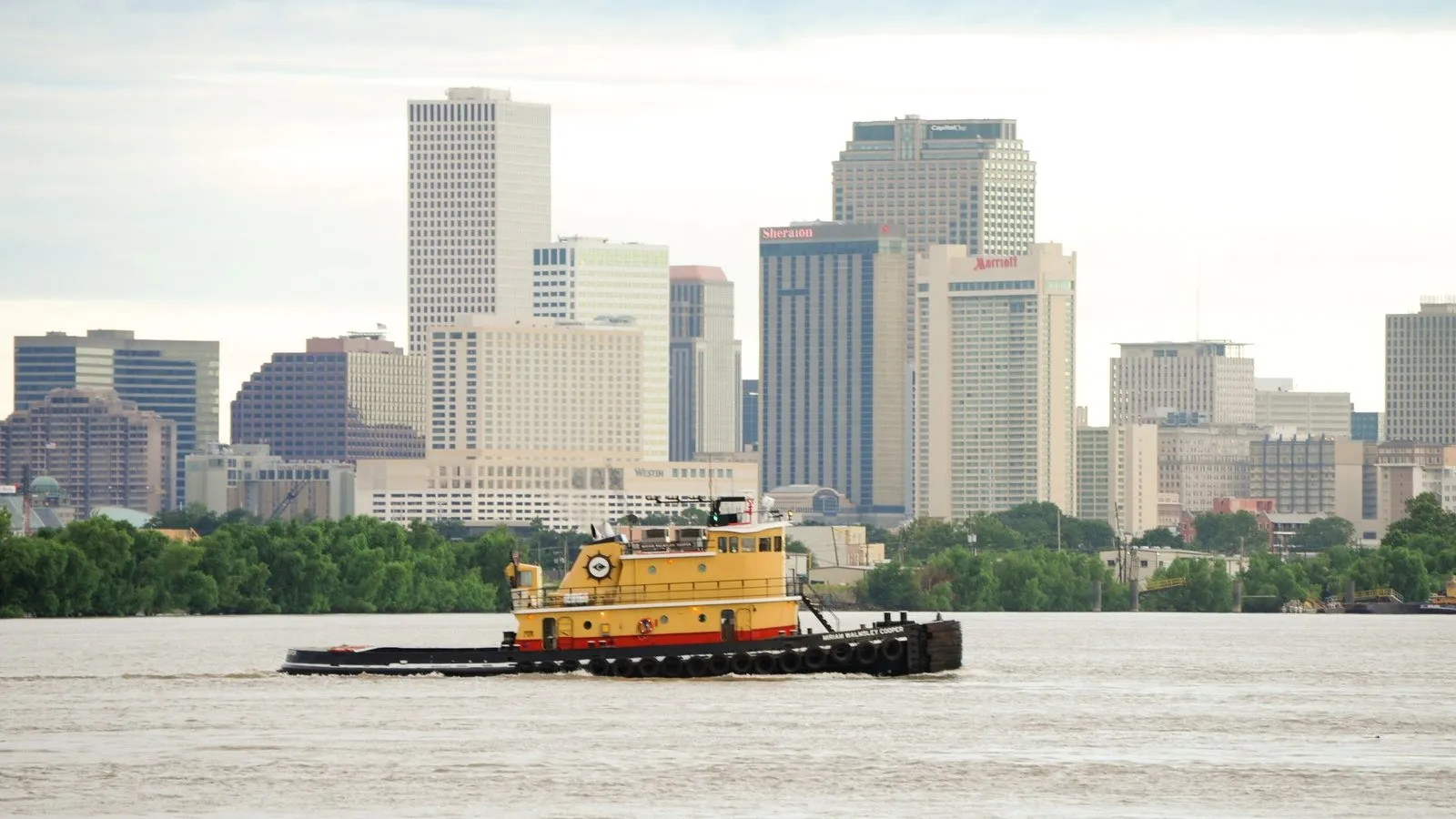 Mississippi river and new orleans skyline