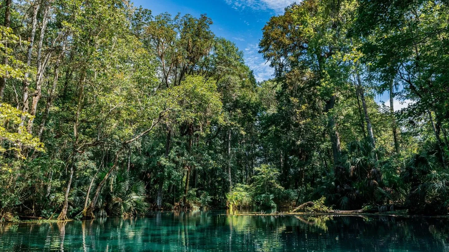 Wekiwa springs near orlando florida