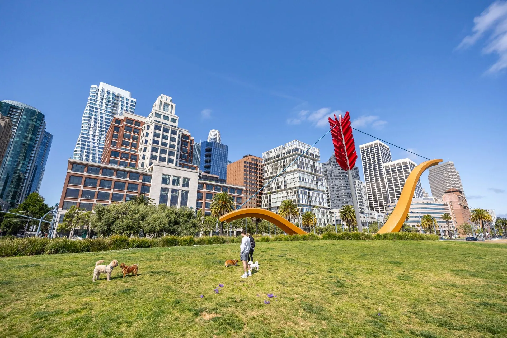 Urban park scene with a landmark sculpture, dogs playing, and city skyline