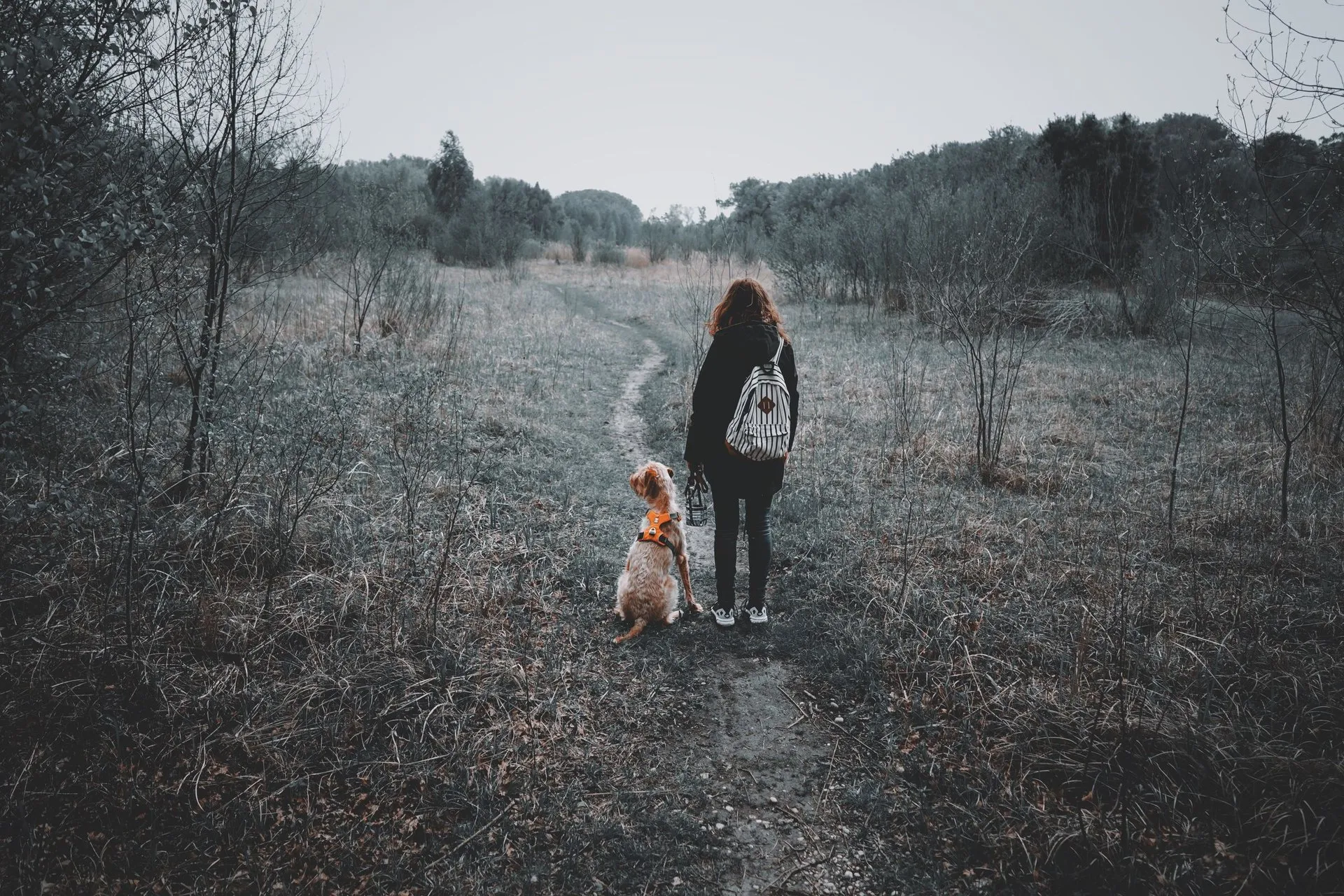 A woman stands on a forest trail with her dog
