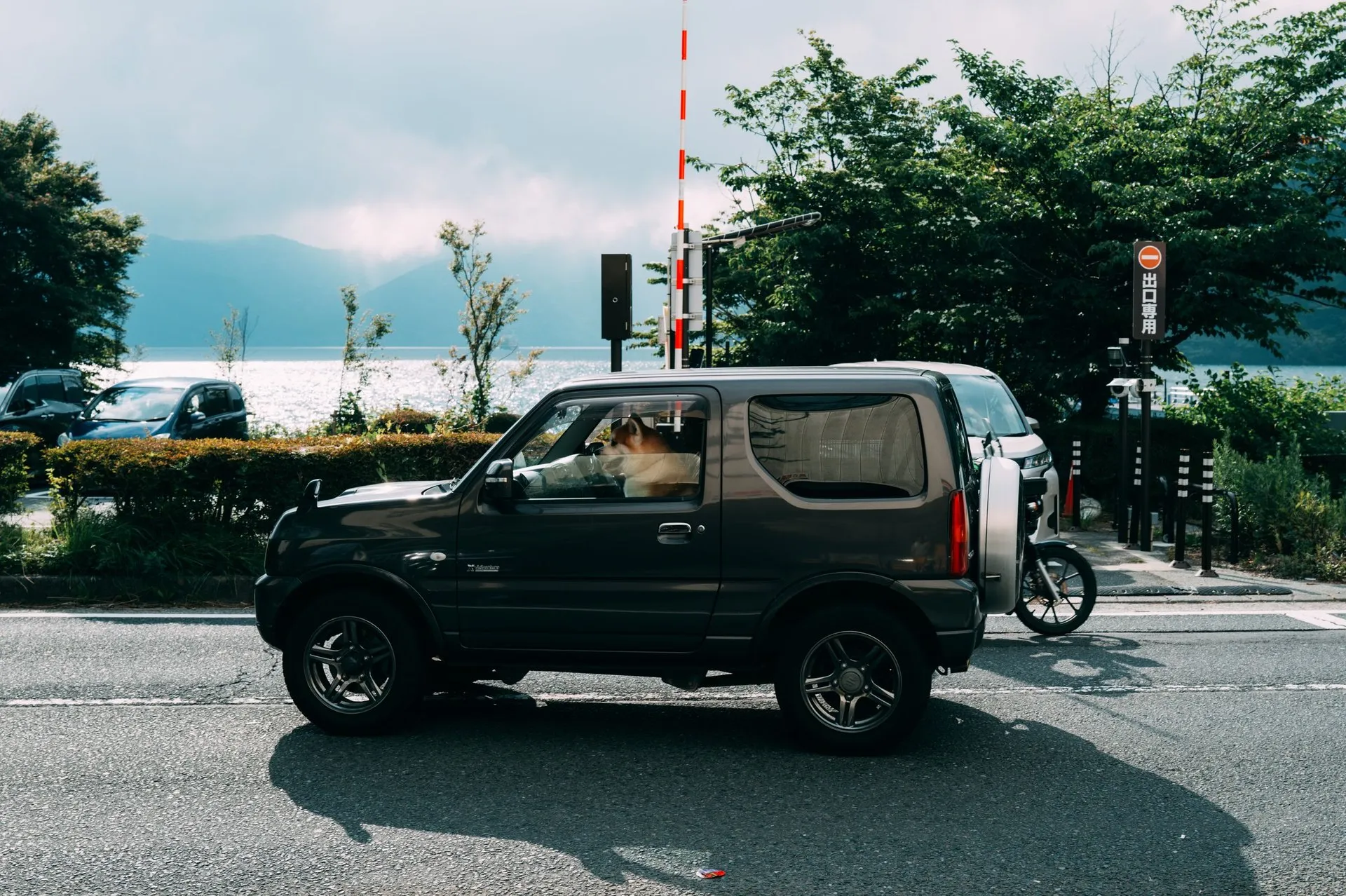 A dog sits in a car by a scenic roadside with a serene lake