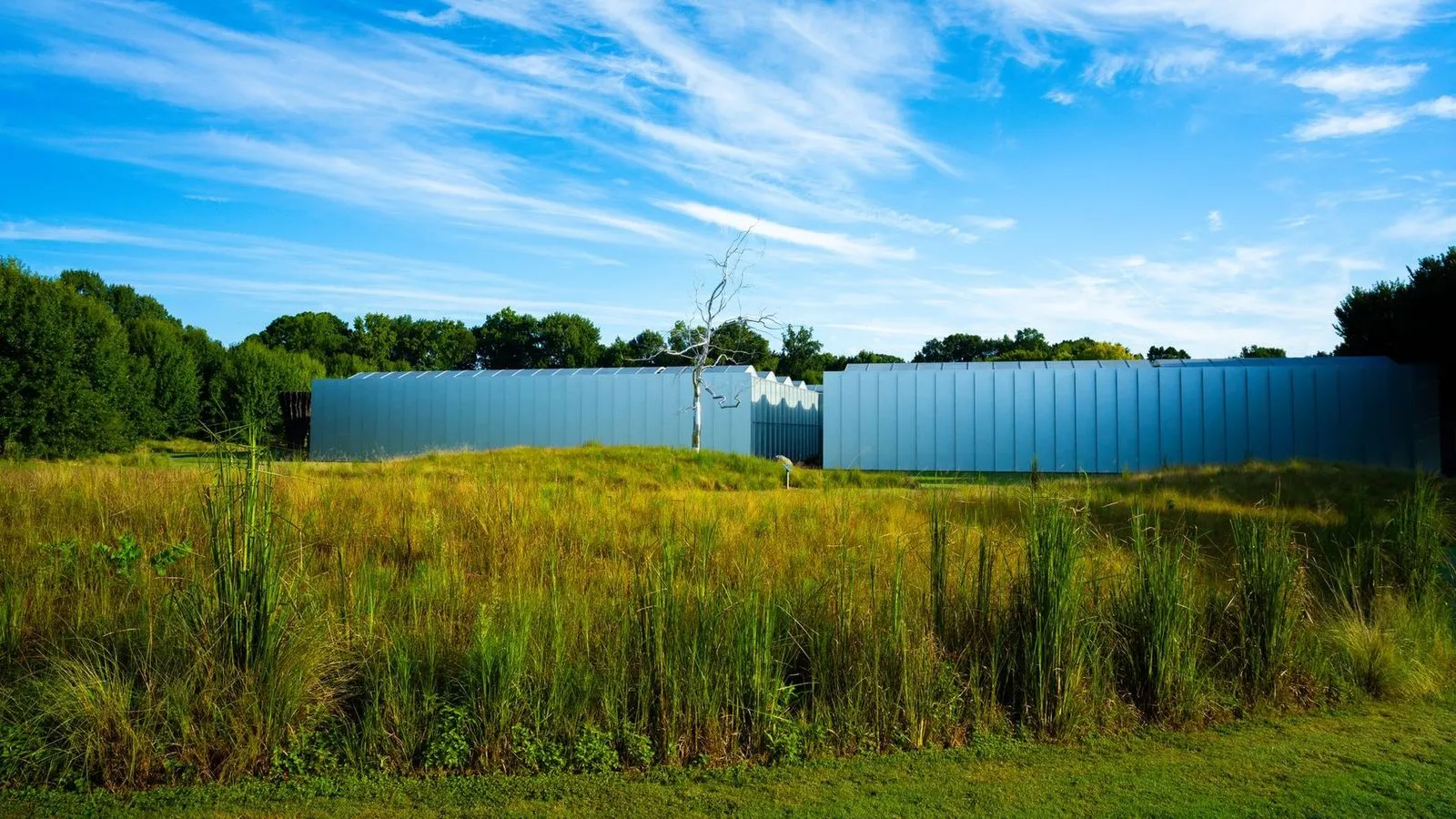 North carolina museum of art park in raleigh