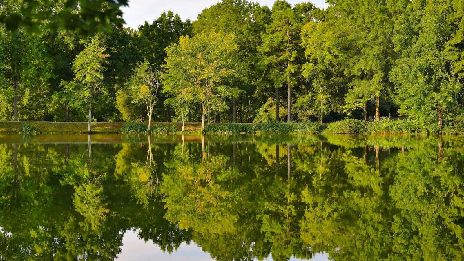 Pullen park in raleigh north carolina