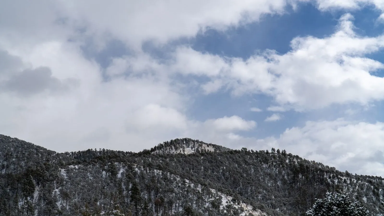 Sangre de cristo mountains near santa fe