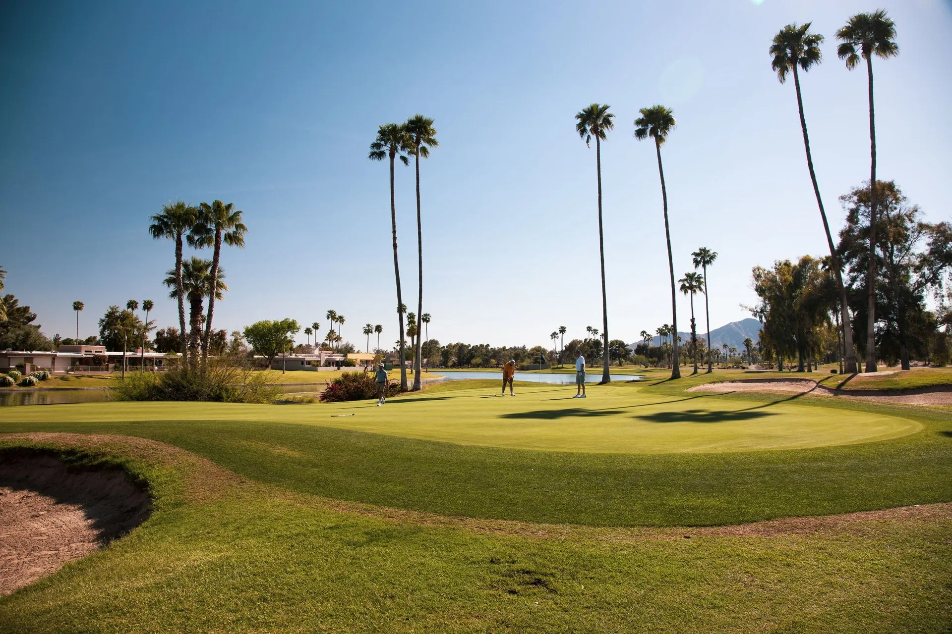 Sunny day at a Scottsdale golf course with palm trees and mountains in view