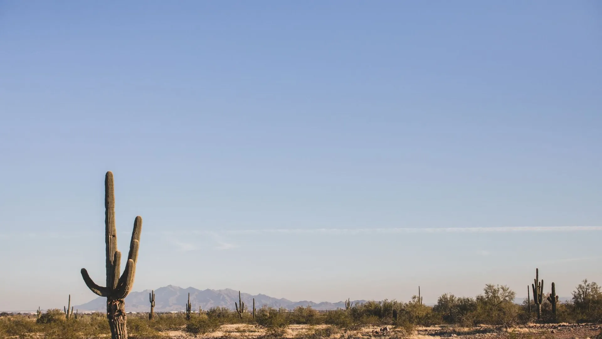 Mcdowell sonoran preserve in scottsdale arizona