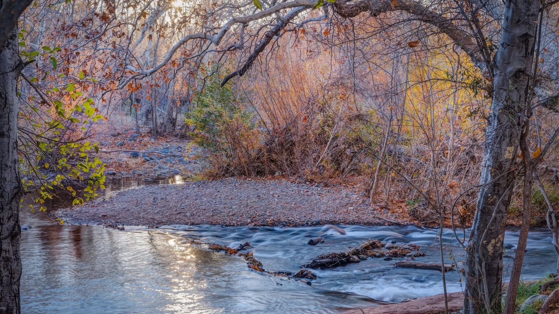 Autumn scene in Sedona, AZ, featuring a river