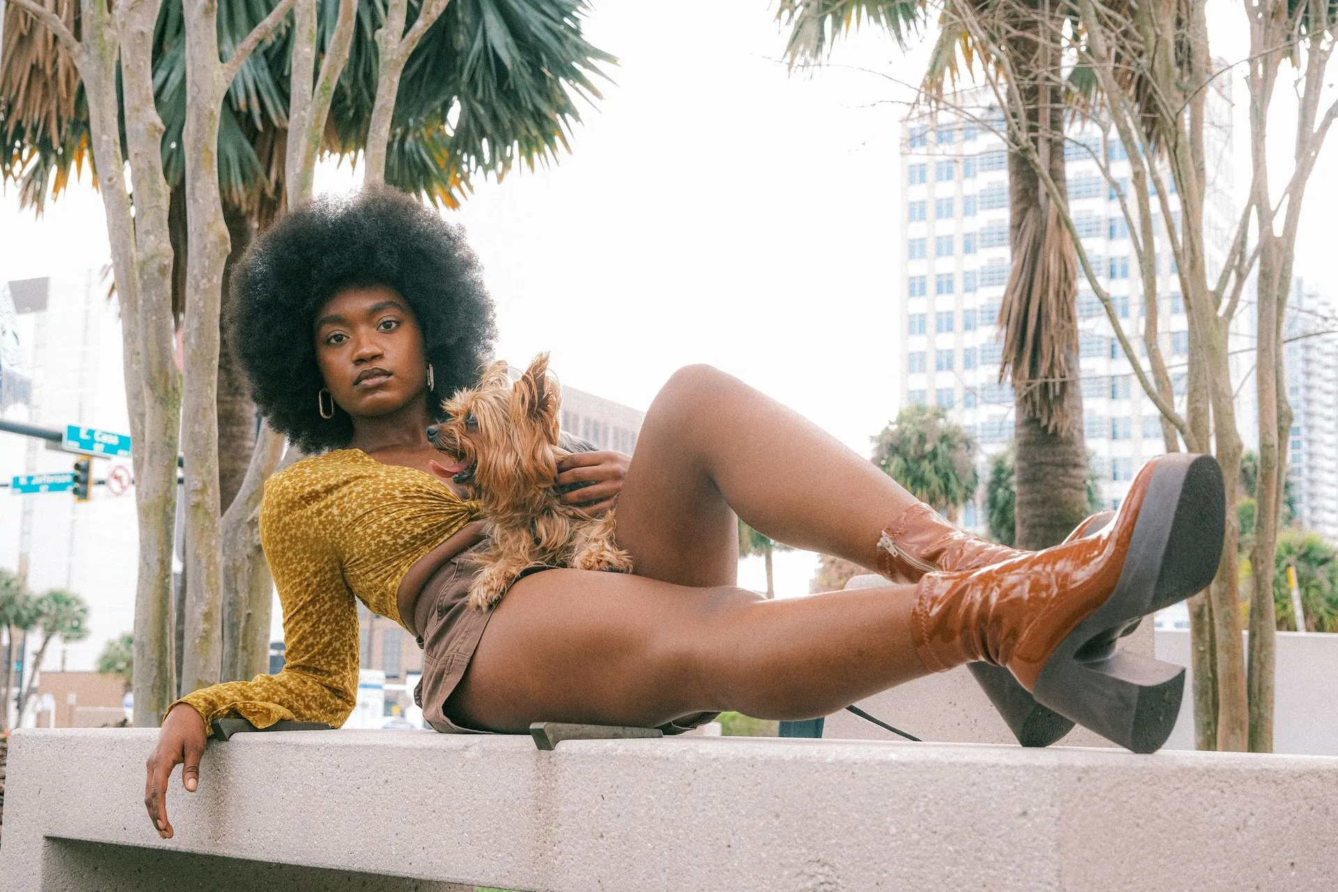 A fashionable woman reclines outdoors in Tampa with her Yorkshire Terrier