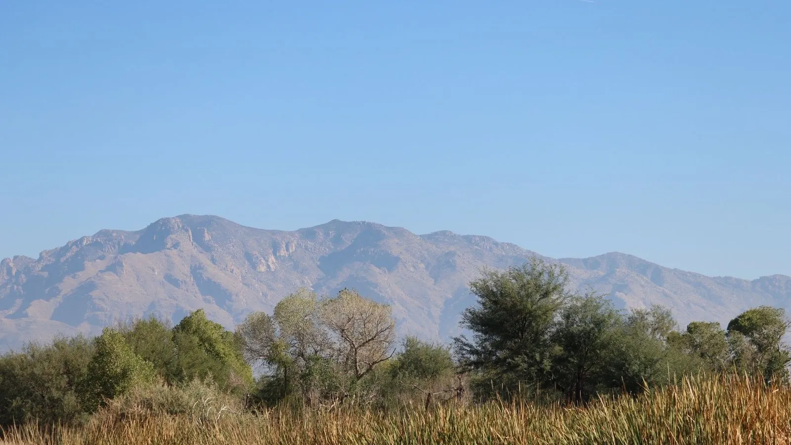 Catalina mountains near tucson arizona