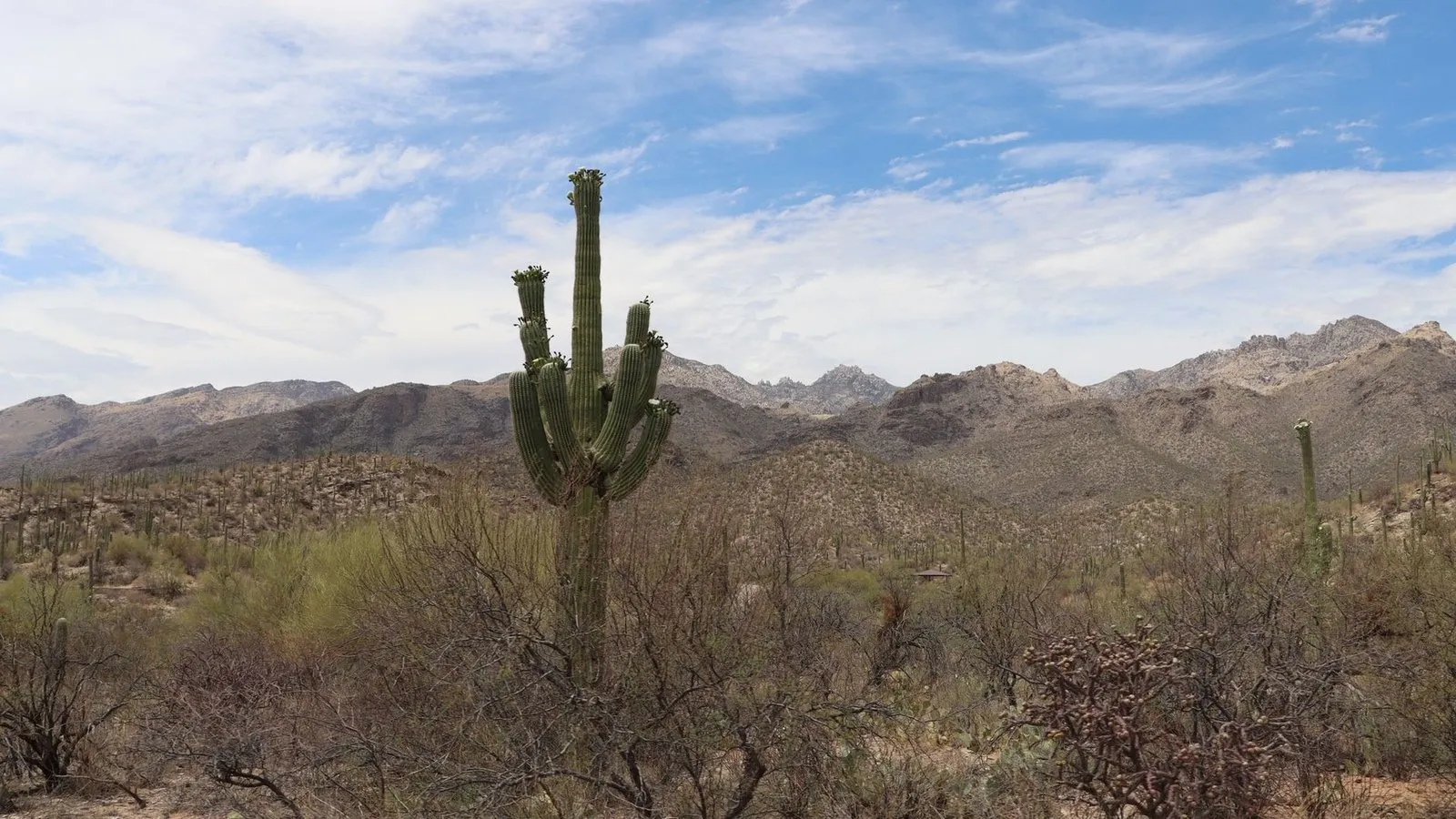 Tucson