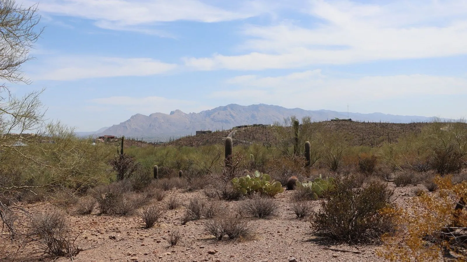 Tucson arizona skyline and mountains